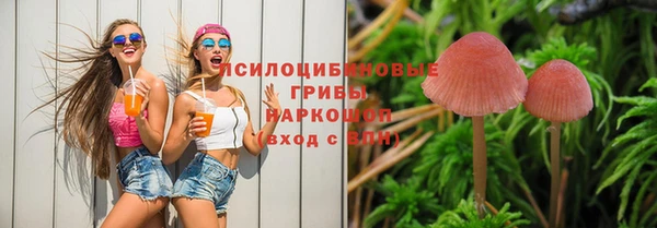 амф Аркадак