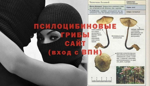 Альфа ПВП Армянск